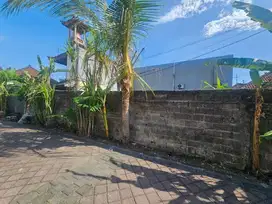 Tanah raya Canggu bali