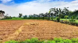 Di Jual Tanah Kavling Lokasi Strategis Di Pinggir Jalan Babelan Bekasi