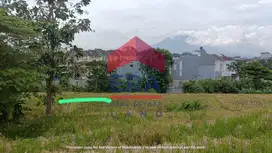 Dijual Tanah di Jalan Ikan Gurami Tunjungsekar Lowokwaru Malang