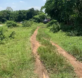 Tanah Cikeusal Serang Banten Luas 9013m2 Hadap Selatan Full Tembok
