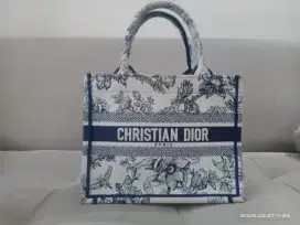 Christian Dior Book Tote Oblique Navy 2023