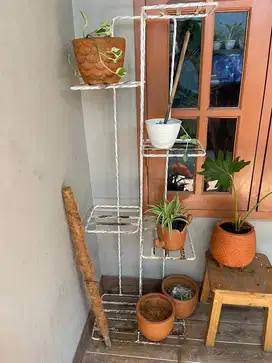 rak tanaman hias