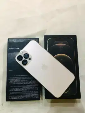 iPhone 12 pm gold 256GB ALLOPERATOR MULUS