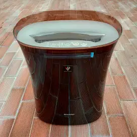 Pembersih Udara (Air Purifier)