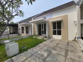 Rumah 1 Lantai Dhana Suvarna Sutera 1K8000T1