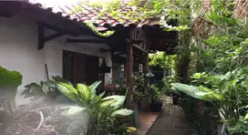 Dijual Cepat Rumah Lama Lokasi Strategis Kemang