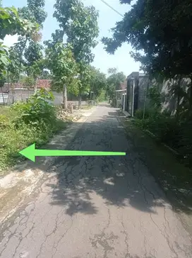 TANAH PEKARANGAN NYAMAN STRATEGIS, DEKAT PASAR PUCUK SEPAT MASARAN