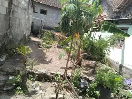 175 Juta Nego, Jual Tanah Pekarangan di Berbah Sleman