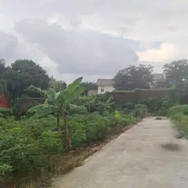 DIJUAL TANAH MURAH 881m2 DEKAT UNDIP TEMBALANG SEMARANG