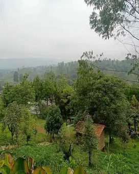 TANAH SIAP BANGUNVILLA SIAP BANGUN DI GAMBUNG CIWIDEY BANDUNG SELATAN