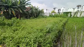 Tanah kosong 300 m di belakang pager perumahan Suvarna Sutera Tangeran