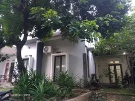 Rumah Murah Asri, Dua Lantai Lima Kamar, Tamansari Persada Bogor