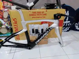 Frameset pinnarello dogma f PLUTONIUM kw second