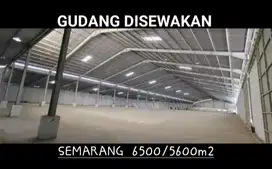 DISEWAKAN GUDANG PRINGAPUS, KAB. SEMARANG, JAWA TENGAH