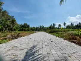 TERMURAH DEKAT BANDARA YIA KULONPROGO TANAH COCOK INVESTASI