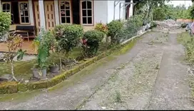 Tanah Luas 157 M2 Di Pasar Pakem JL Kaliurang Km 16  Atau Utara SMPN 4