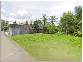 Tanah Jogja, Dekat Kampus UAD cab. Wates