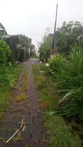 DIJUAL TANAH BERLOKASI JALAN CEPAKA DALUNG
