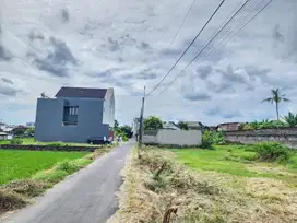 NEGO OWNER TANAH JAMBON TRIHANGGO DIJUAL CEPAT TEPI ASPAL