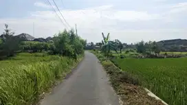 SIAP BANGUN TUMAH DI JAMBON TRIHANGGO SLEMAN JUAL MURAH