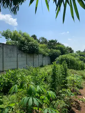DIJUAL TANAH CIKEUSAL, SERANG, BANTEN