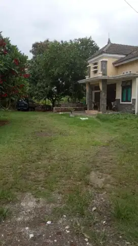 JUAL TANAH LUAS SIAP BANGUN BISA UNTUK KAVLING/ PERUMAHAN