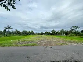 Tanah SHM P Kaliurang Jogja, Harga Murah View Sawah