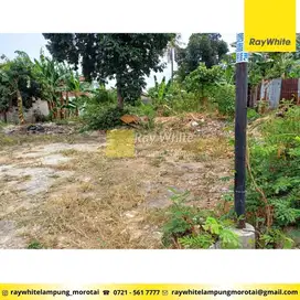 Dijual Tanah di Kedamaian, Bandar Lampung (Kode: YOK 3144)