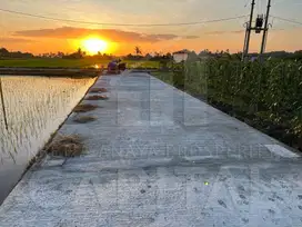 Tanah Premium View Sunset di Kedungu - Tabanan Bali