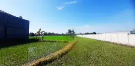 Tanah Desa Sidomulyo Sidoarjo