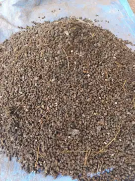 Pupuk kandang kohe murni