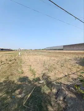 JUAL MURAH TANAH DI DAERAH INDUSTRI DI WRINGANOM LUAS 1,8ha SHM