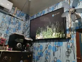 Jual beli tv bekas