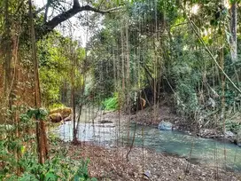 3500 land for sale in the edge or river in munggu bali