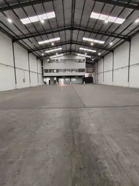 Disewakan Gudang atau Pabrik Kawasan Industri Delta Silicon Cikarang