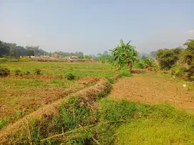 Tanah kebun pinggir sungai masuk mobil SHM