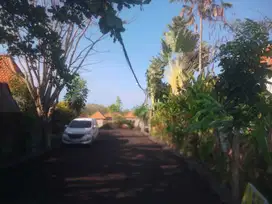 25 year Land for Lease, TIBUBENENG Canggu. Perfect for Villa compound