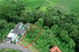 FOR SALE FREEHOLD LAND IN GREENLOT SAMBADA MUNGGU BALI 9,3 ARE