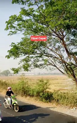 Dijual Cepat Tanah Zona Industri Pabrik Jalan Provinsi Cirebon Jakarta