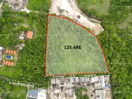 EXPANSIVE LAND OPPORTUNITY IN BINGIN: A RARE FIND