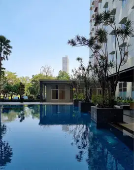 Disewakan Apartemen Pinewood