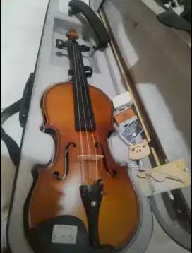 VIOLIN 4/4 ASTGHIK VF 105