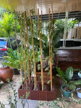 Bambu artificial & pot kayu