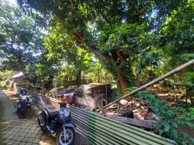 DIJUAL TANAH DEKAT PANTAI LOVINA HANYA 5 MENIT KE PANTAI LOVINA