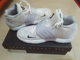 Sepatu Nike KD 14