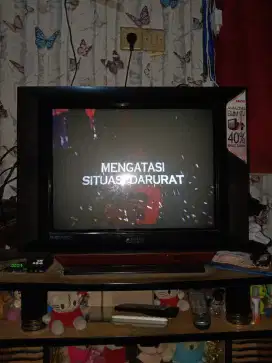 Amazing TV slim Only Merk Sanyo