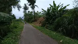 dijual tanah daerah pakis 5000m2. lebar depan 30meter. 280rb/meter