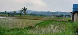 Dijual cepat Tanah Sawah di Leuwisadeng, Bogor, Jawa Barat