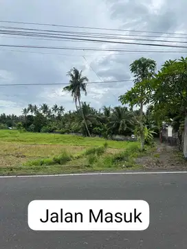 Tanah Strategis untuk usaha lokasi pinggir jalan utama Parangasem