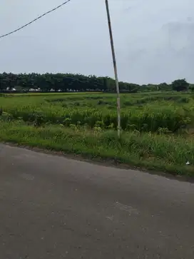 TANAH MURAH NOL.RAYA DUNGUS CERME GRESIK